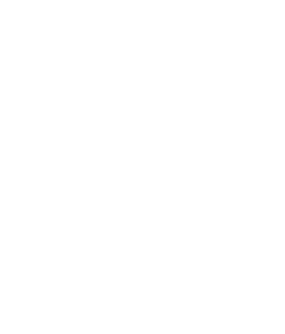 EY Logo